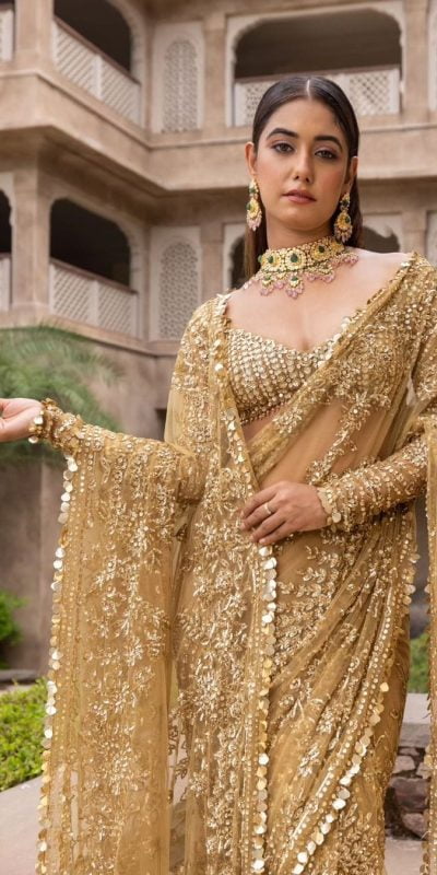 Dazzling Golden Color Mono Butterfly Net Embroidery work Saree