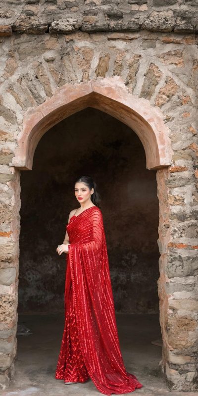 Special Red Color Georgette Embroidery Sequence Work Saree