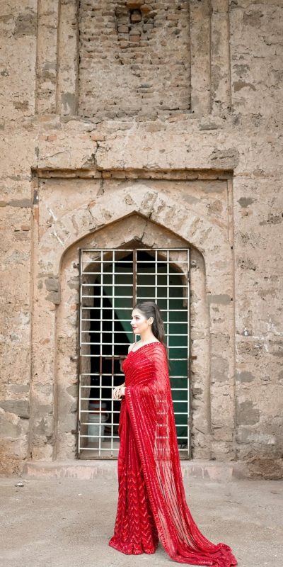 Special Red Color Georgette Embroidery Sequence Work Saree