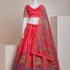 Nice Red Color Silk Embroidery Sequins Amazing Print Lehenga Choli