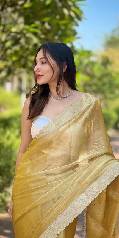 Fancy Golden Color Burberry Silk Diamond Sequins Saree