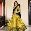 Graceful Parrot Green Color Cotton Silk Weaving Paithani Concept Lehenga Choli