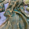 Green Chiffon Pattern Hand Work Lace Saree