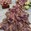 Wine Chiffon Pattern Hand Work Lace Saree
