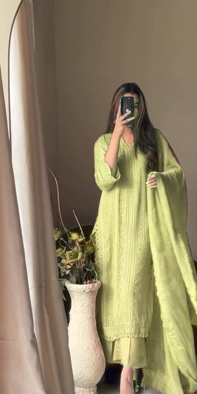 Beautiful Pista Color Chinon Cotton Thread Embroidery Work Salwar Suit