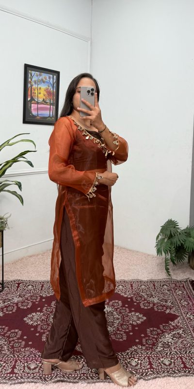 Nice Brown Color Organza Mirror Lace Work Salwar Suit