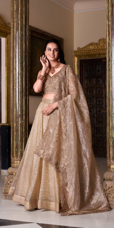 LNB 1430 Chiku Color Gold Crush Plain Canvas Lehenga Choli Wedding, Party, Festive, Events Etc. Delivery 4-6 Working Days Rs 3199 | Lehenga, Bollywood Lehenga, Creative Lehenga, Designer Lehenga, Embroidered Lehenga, Party Wear Lehenga