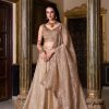 LNB 1430 Chiku Color Gold Crush Plain Canvas Lehenga Choli Wedding, Party, Festive, Events Etc. Delivery 4-6 Working Days Rs 3199 | Lehenga, Bollywood Lehenga, Creative Lehenga, Designer Lehenga, Embroidered Lehenga, Party Wear Lehenga