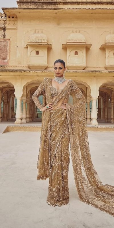 DF 3441 Chiku Color Mono Net Heavy 5mm Sequins Embroidery Work Saree Casual, Wedding, Festive, Events . Expected Delivery 4-6 Working Days @1799/- only | Sarees, Bollywood Sarees, Creative Sarees, Designer Sarees, Embroidered Sarees, Ethnic Saree, Modern Digital sarees, Party Wear Sarees