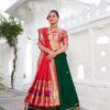 LNB 2016 Green Wine Color Vichitra Silk Plain with Paithni lace border Lehenga Choli Wedding, Party, Festive, Events Etc. Delivery 4-6 Working Days Rs 2999 | Lehenga, Bollywood Lehenga, Creative Lehenga, Designer Lehenga, Embroidered Lehenga, Party Wear Lehenga