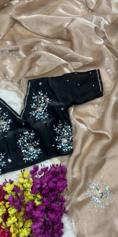 AC JIYA Chiku Soft Jimmy Chuu with Lace Border & Lace Work Saree . Available at ₹3049 only. Delivery 4-6 Working Days. Shop now. | Sarees, Bollywood Sarees, Creative Sarees, Designer Sarees, Embroidered Sarees, Ethnic Saree, Modern Digital sarees, Party Wear Sarees