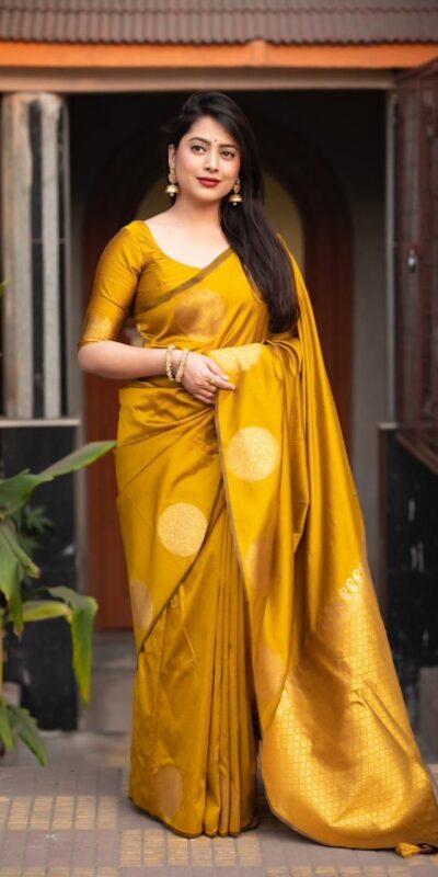 Mastered Gold Soft Silk Cloth Pallu Saree