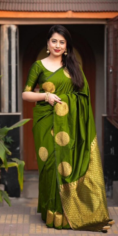 Olive Green Soft Silk Cloth Pallu Saree