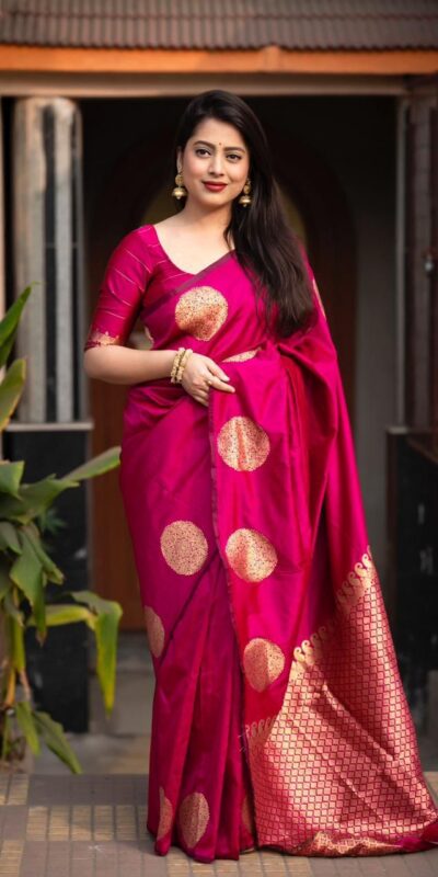 Rani Soft Silk Cloth Pallu Work Saree