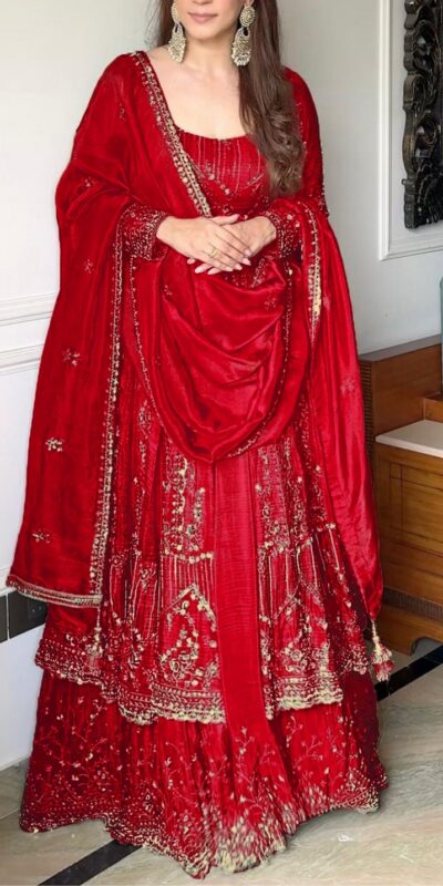 Red Crunchy Silk Lace Embroidery Work Gown