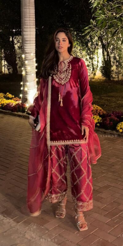 Red Organza Embroidery Work Salwar Suit