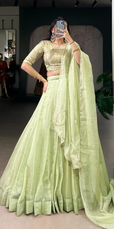 Pista Allen Crush Bead Sequins Work Lehenga Choli