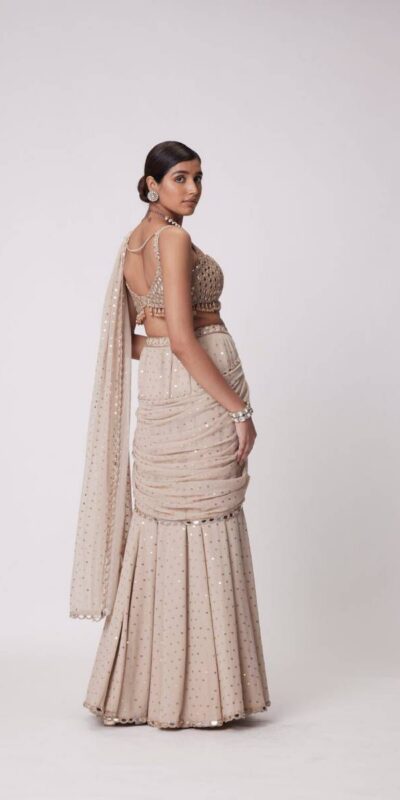 BD 1821 Chiku in Faux Georgette Mirror Work Saree . Wedding, Party, Festive, Events, Grab it for ₹2499. Delivery 4-6 Working Days. Shop now. | Sarees, Bollywood Sarees, Creative Sarees, Designer Sarees, Embroidered Sarees, Ethnic Saree, Modern Digital sarees, Party Wear Sarees