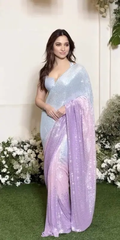 Tamannaah Bhatia Grey Color Heavy Dual Sequins Embroidered Saree