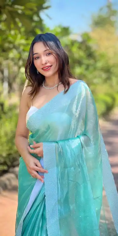 Fancy Sea Green Color Burberry Silk Diamond Sequins Saree