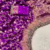 Amazing Purple Color Jacquard Weaving With Embroidery Cording Lace Saree
