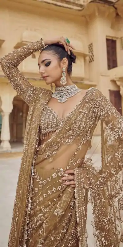 DF 3441 Chiku Color Mono Net Heavy 5mm Sequins Embroidery Work Saree Casual, Wedding, Festive, Events . Expected Delivery  4-6 Working Days @1799/- only                                                                                | Sarees, Bollywood Sarees, Creative Sarees, Designer Sarees, Embroidered Sarees, Ethnic Saree, Modern Digital sarees, Party Wear Sarees