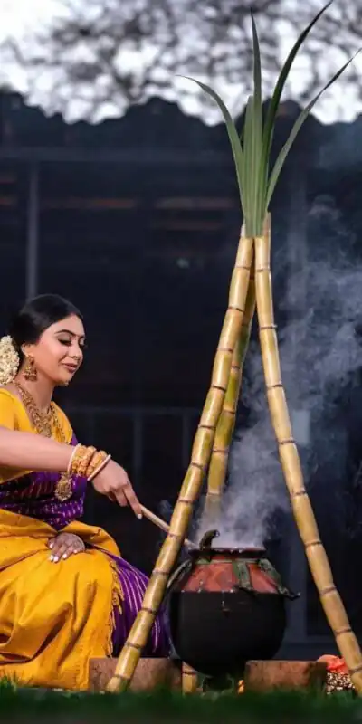 KP 5006 Purple Soft Lichi Silk Saree Perfect for Wedding, Party, Raksha Bandhan, Durga Puja, Ganesh Chaturthi . Introductory Price ₹1499. Delivery | Sarees, Bollywood Sarees, Creative Sarees, Designer Sarees, Embroidered Sarees, Ethnic Saree, Modern Digital sarees, Party Wear Sarees