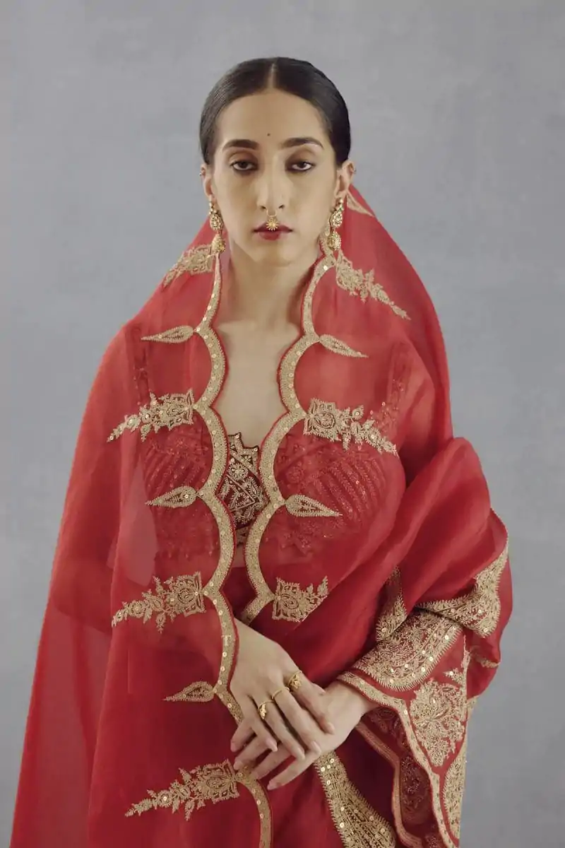 DF Queen Red Organza Tissue Saree with Sequins Work & Embroidery. Festive Deal ₹2499. Delivery 4-6 Working Days. Shop now. | Sarees, Bollywood Sarees, Creative Sarees, Designer Sarees, Embroidered Sarees, Ethnic Saree, Modern Digital sarees, Party Wear Sarees