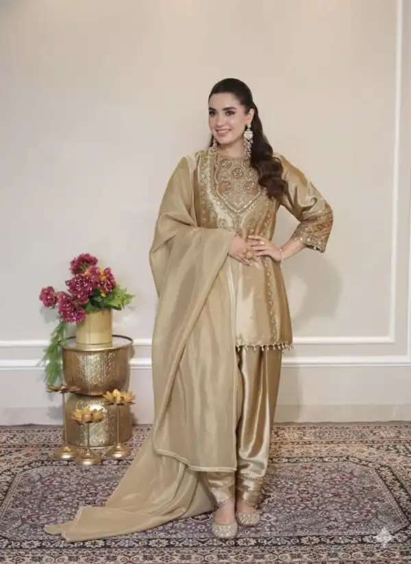 Chiku Fendy Embroidery Work Salwar Suit Online at Best