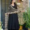 Classic Black Roman Silk Net Mirror Dupatta Gown