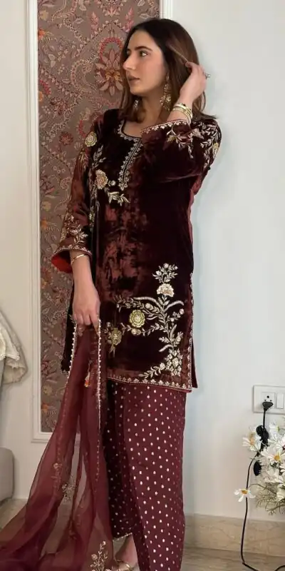 Brown Viscose Velvet Embroidery Work Salwar Suit