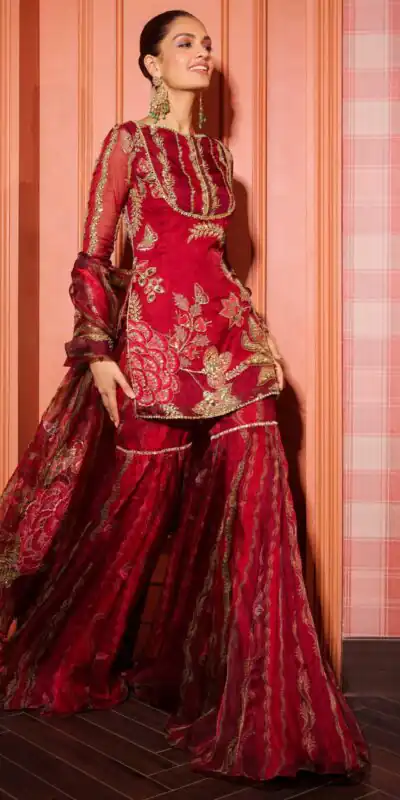 Red Soft Organza Embroidery Mirror Work Salwar Suit