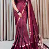 Wine Dola Silk Lace Border Sequins Work Saree